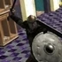 Rome Simulator