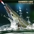 Summer lake 1.5