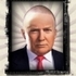 The President of the USA